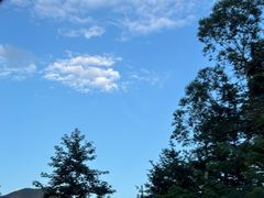 -蛙喔牛蛙(义乌新光汇店)