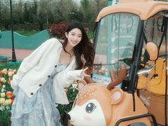 -荷兰花海