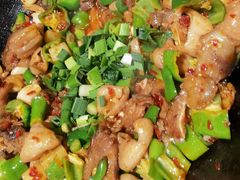 酸菜肥肠-聚鑫朋酸菜肥肠(文艺路口店)