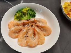 -田螺阿姨自营月嫂·育儿嫂(高新店)