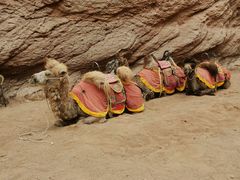 -天山神秘大峡谷