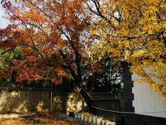 -北京鹫峰国家森林公园