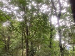 -火炉山森林公园