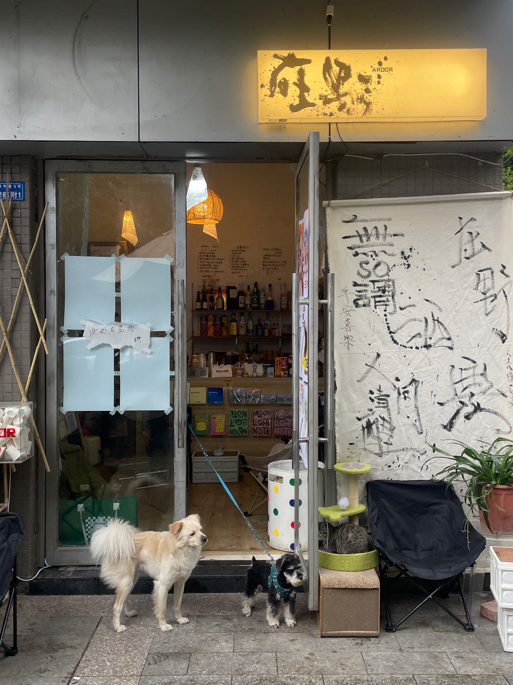 就在花照壁很有爱的咖啡酒屋☕白咖夜酒?宠物友好店
