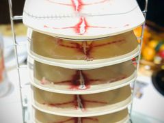 -鼎尚鲜斑鱼莊(新天润店)