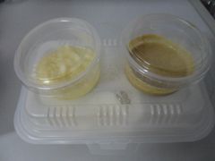 打包-东方饺子王(和平里店)