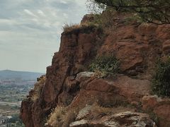 -红山国家森林公园