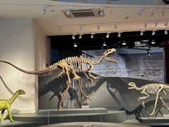 -自贡恐龙博物馆