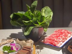 -京韵胡同·酱香羊蝎子火锅涮肉(长寿路店)