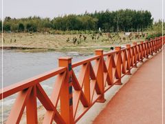 -丁香湖公园