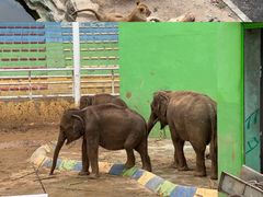 -大连森林动物园