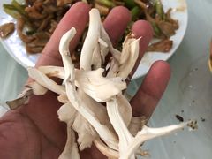 -何适山庄 ·可团建(水长城P2停车场店)