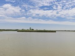 -盐城丹顶鹤湿地生态旅游区