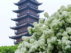 -常熟方塔园