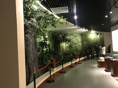 -遵义市博物馆