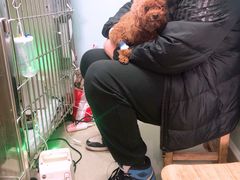 -纳吉亚猫专科动物医院·北北分院