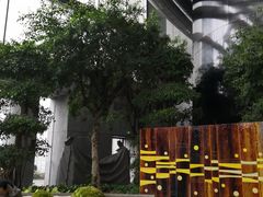 -上海中心大厦