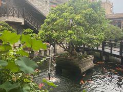 -猪肉婆私房菜(容桂总店)