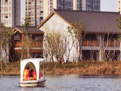 -洋湖国家湿地公园