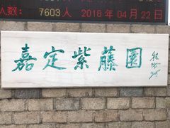 -嘉定紫藤园