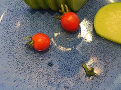 -香山湖渔家大院