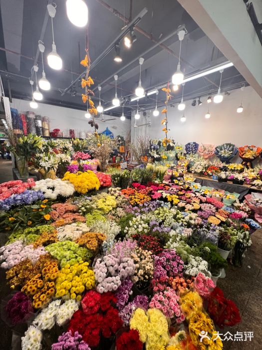 双季花艺园艺市场(浦东店)图片