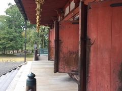 -醍醐寺