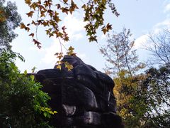 -岳麓山风景名胜区