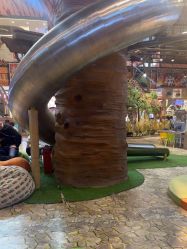 -卡通尼·Safari非洲探索乐园·生日会(金桥国际商业广场店)