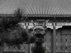-颐和园