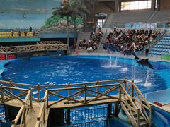 -海合安成都极地海洋公园