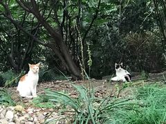 -苏州河梦清园环保主题公园