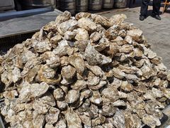 -桔子海鲜烧烤大排档(台东店)
