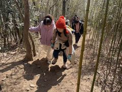 -安吉龙王山风景区