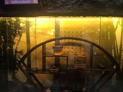 -上海大自然野生昆虫馆(东方明珠·爬宠昆虫探索中心)