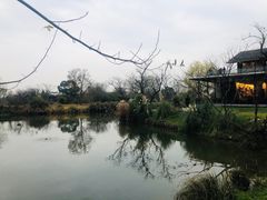 -木守西溪溪隐餐厅
