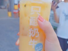 -一只酸奶牛(八一路店)