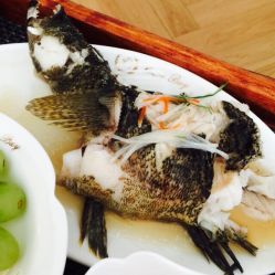 馨月汇月子会所(静安店)-馨月汇·独栋月子会所(静安店)