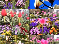 -兰陵国家农业公园