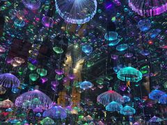 -梵高星空艺术馆(北京旗舰店)