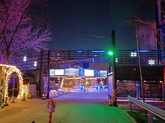 -枫花园汽车电影院(朝阳公园店)