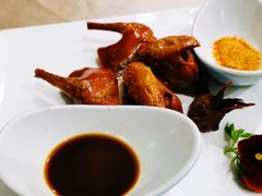 -食神鱼头佛跳墙(百子湾旗舰店)