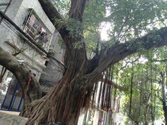 -小洲村
