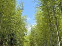 -黄公望隐居地
