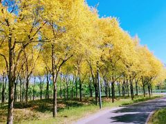 -东郊湿地公园