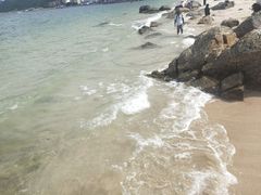 -杨梅坑