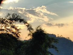 -水濂山森林公园