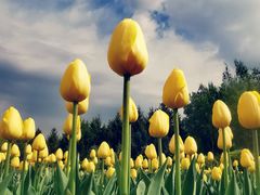 -长春公园(普阳街道)