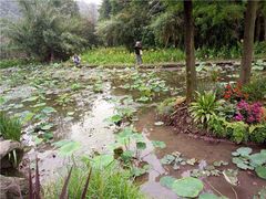 -重庆彩云湖湿地公园