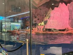 -帝企鹅自助餐厅•儿童岛•真企鹅(长隆企鹅酒店)